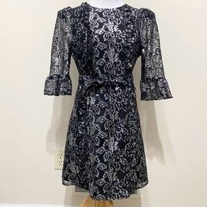 The Vampire’s Wife x H&M Mystique Silver Lace Dress
